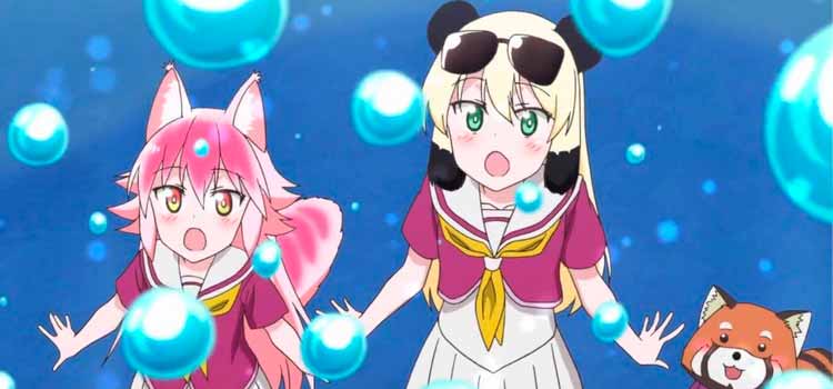 Ani-One Streams Seton Academy: Join the Pack! Anime - News - Anime News  Network